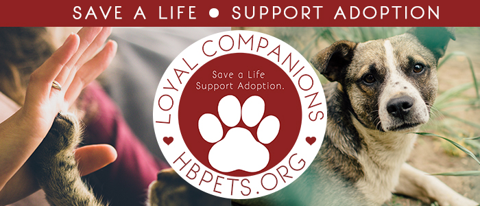 Become a "Loyal Companion" donor today!
